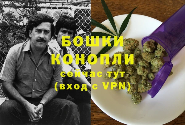 экстази Пересвет