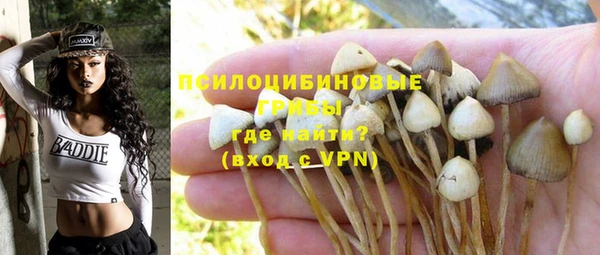 экстази Пересвет
