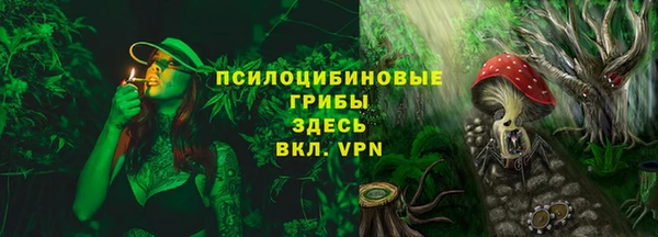 экстази Пересвет