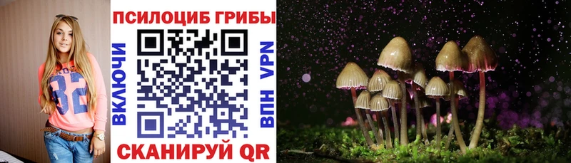купить цена Арсеньев Галлюциногенные грибы мицелий