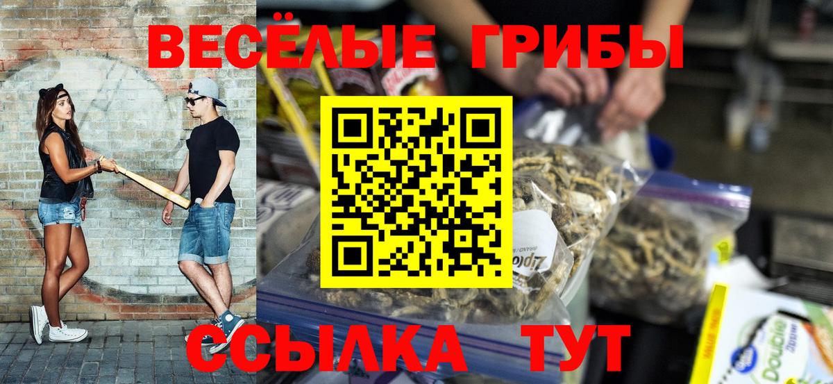 Псилоцибиновые грибы Cubensis  Арсеньев 