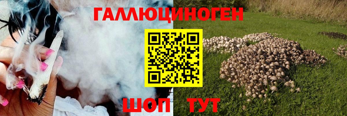 Псилоцибиновые грибы ЛСД  Вход с VPN  Арсеньев 