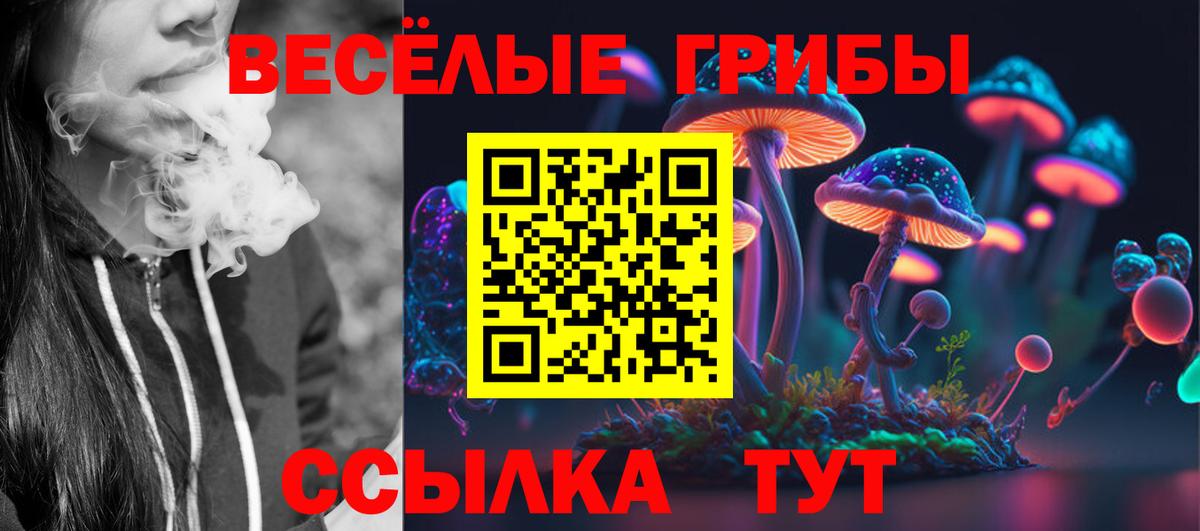 Псилоцибиновые грибы Psilocybine cubensis Арсеньев
